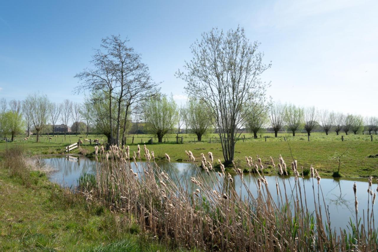 Hoeve De Mertel Biezenmortel المظهر الخارجي الصورة